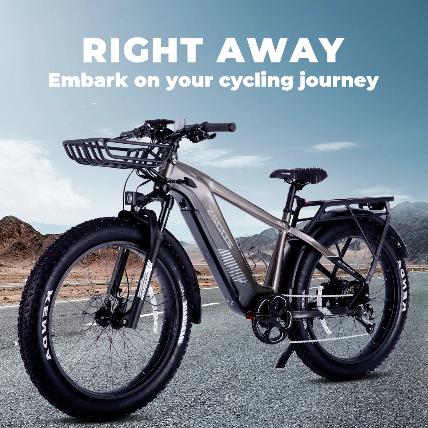 Adult electric bicycle 750W