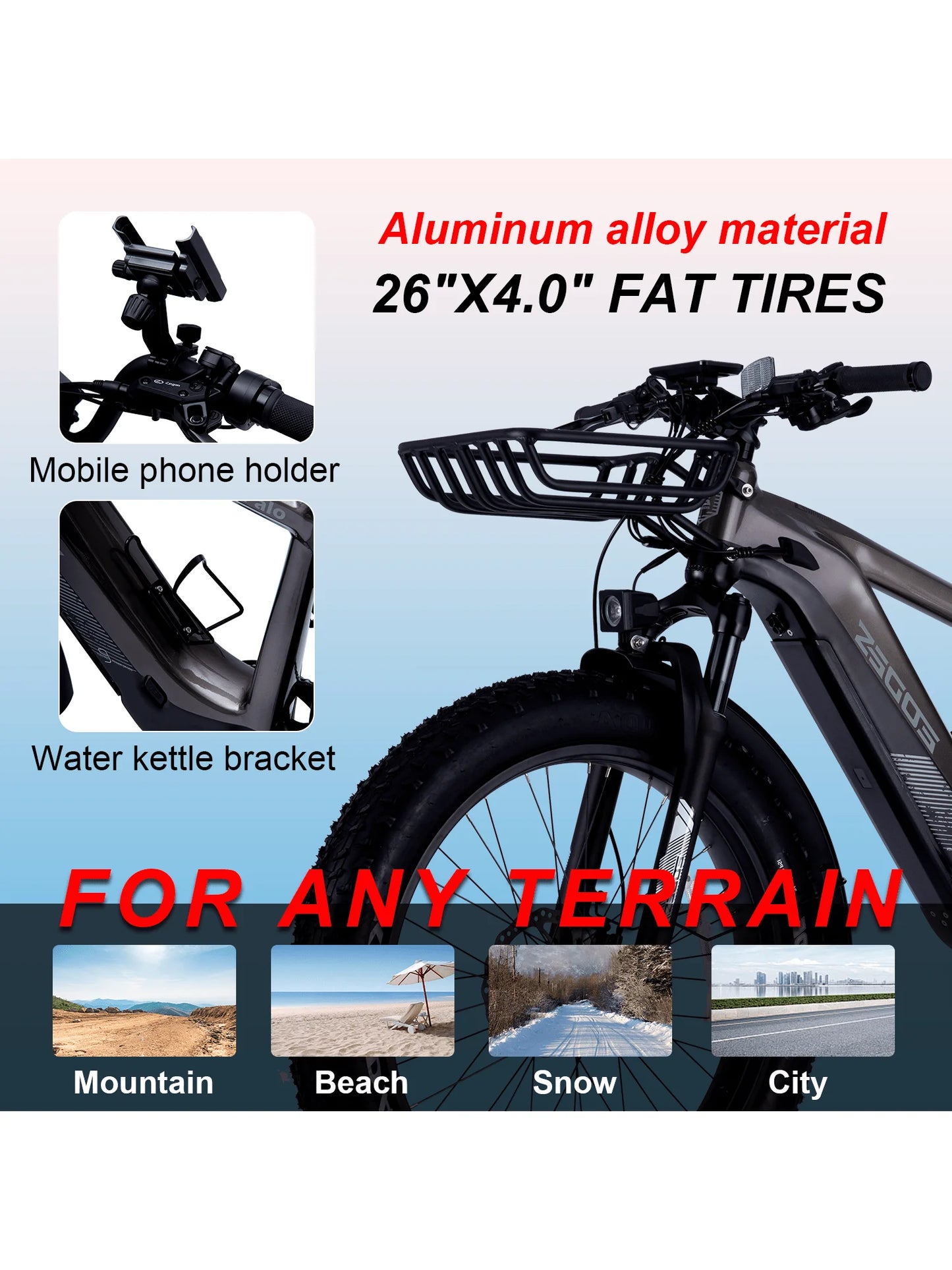 Adult electric bicycle 750W