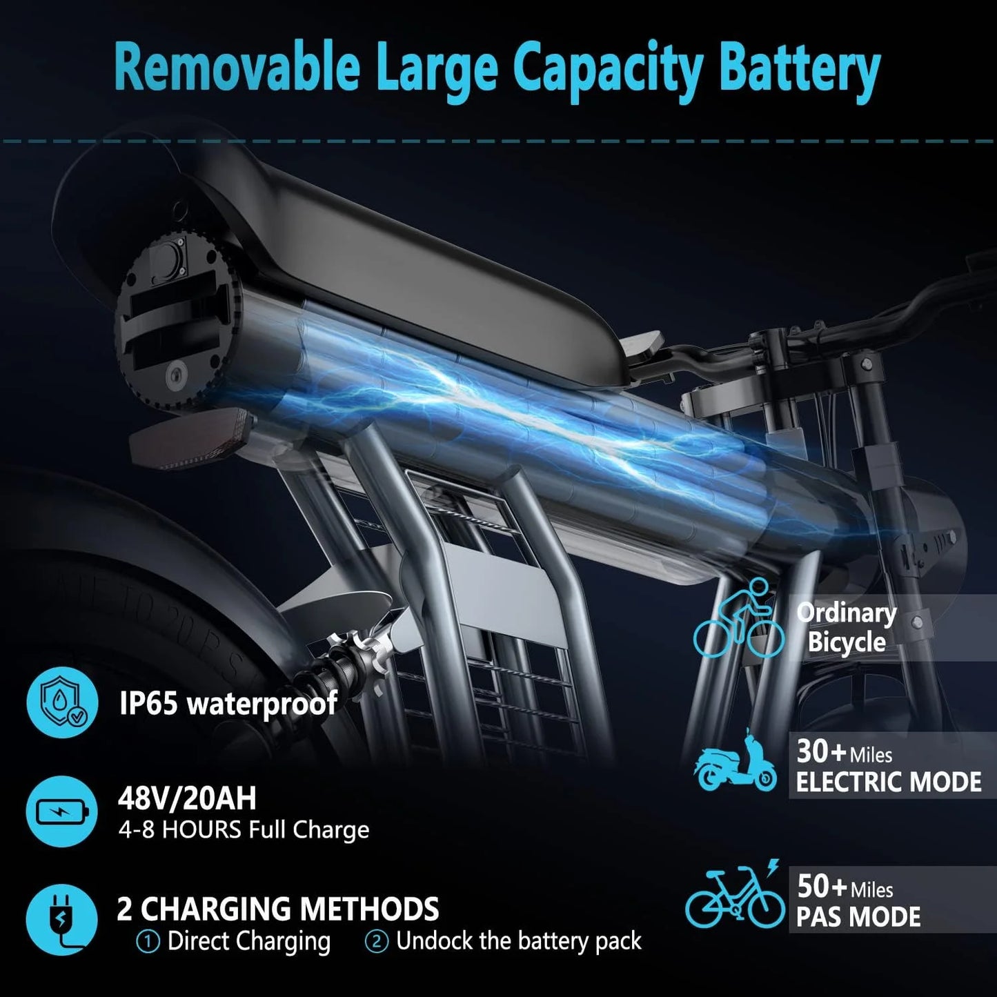 1200W adult electric bicycle