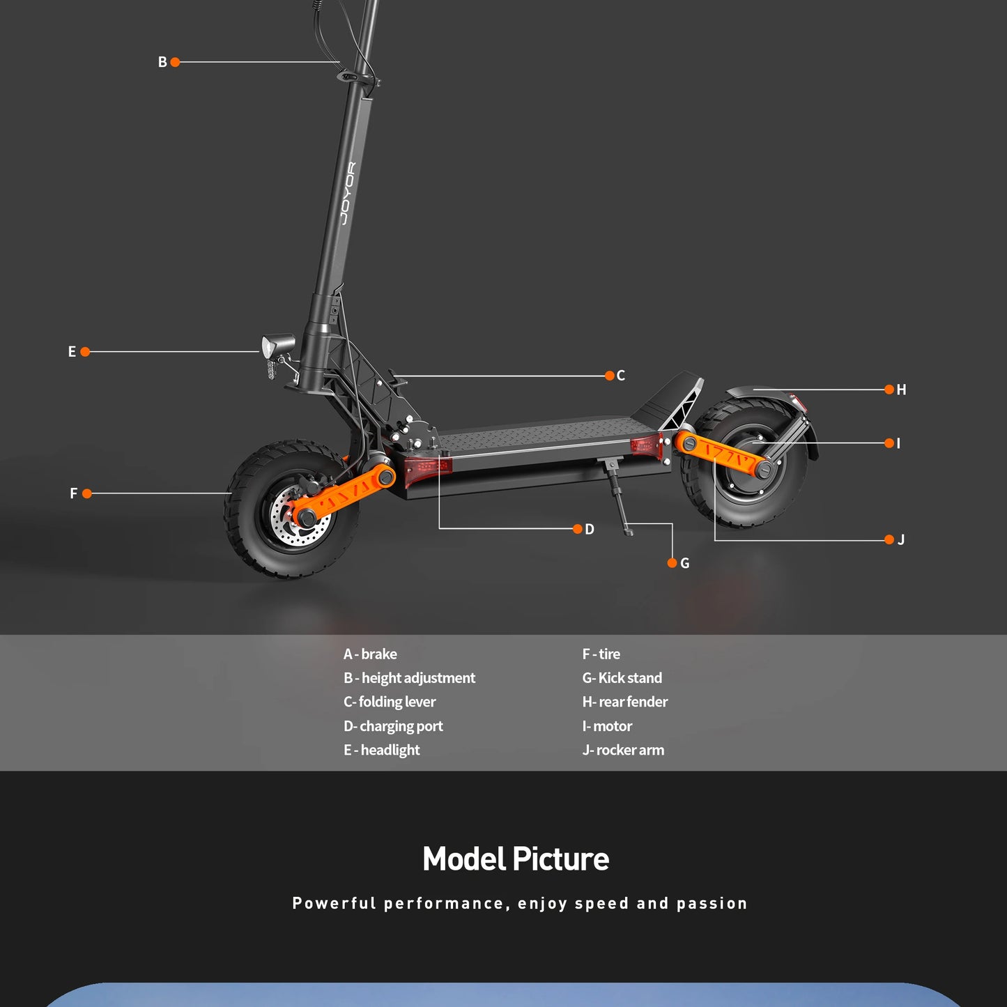 Electric Scooter 1000W