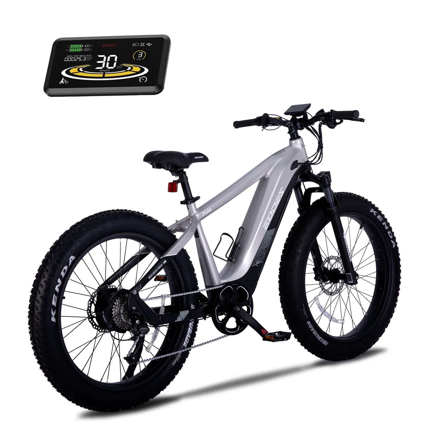 Adult electric bicycle 750W