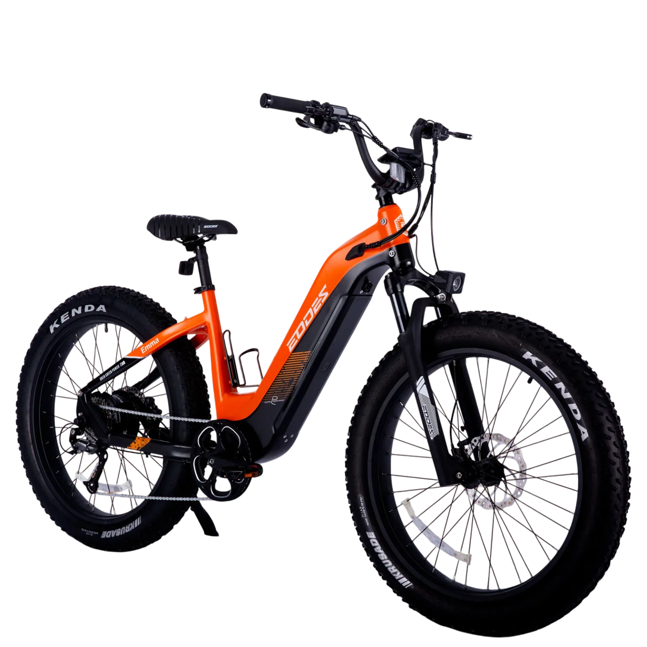 Adult electric bicycle 750W