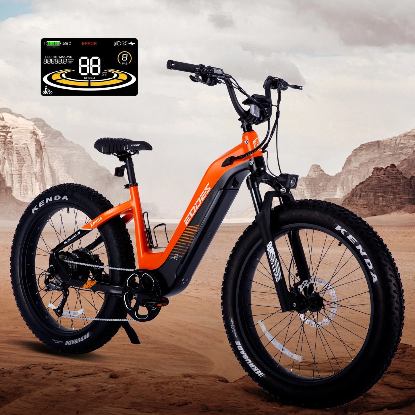 Adult electric bicycle 750W
