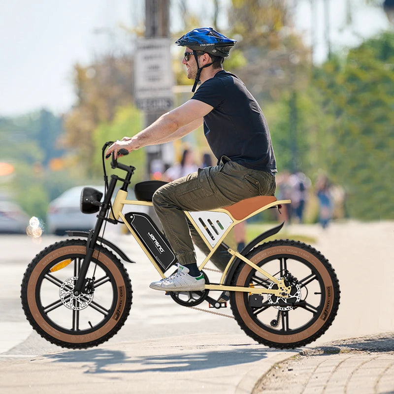 750W Electric Bicycle