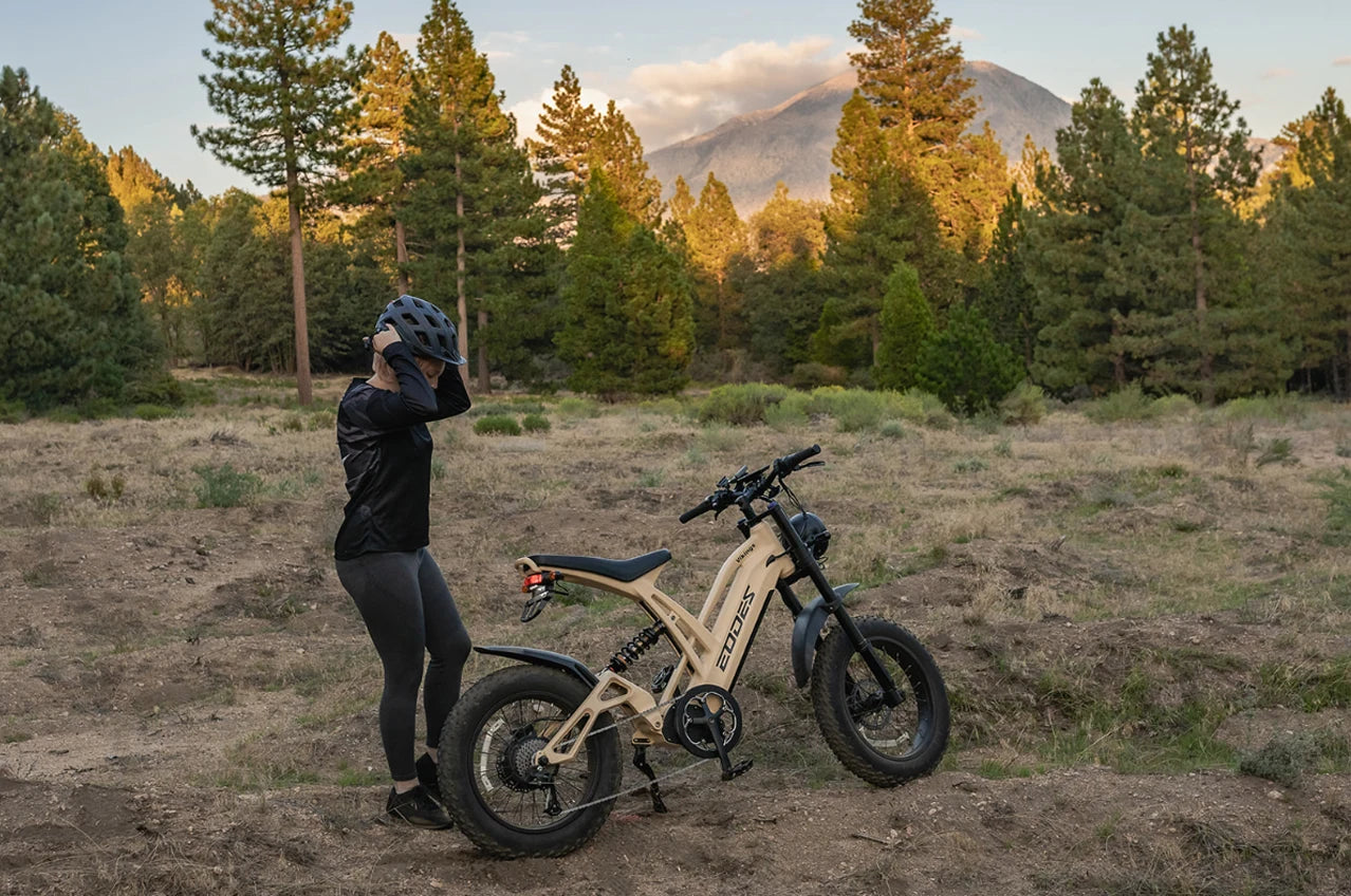 1000W mountain adult electric bicycle