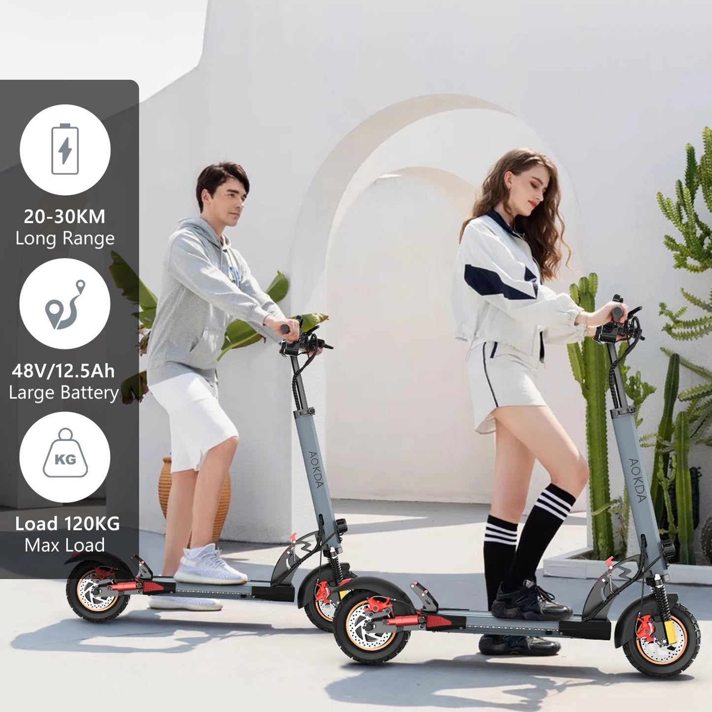 Scooters Electric 800W
