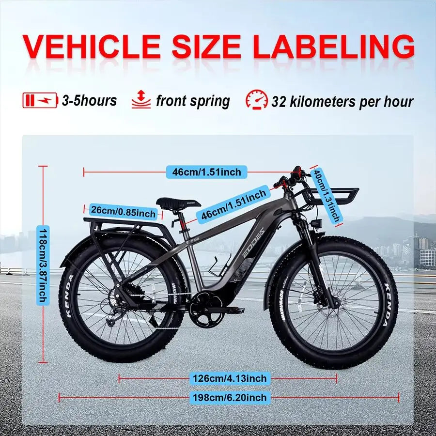 Adult electric bicycle 750W