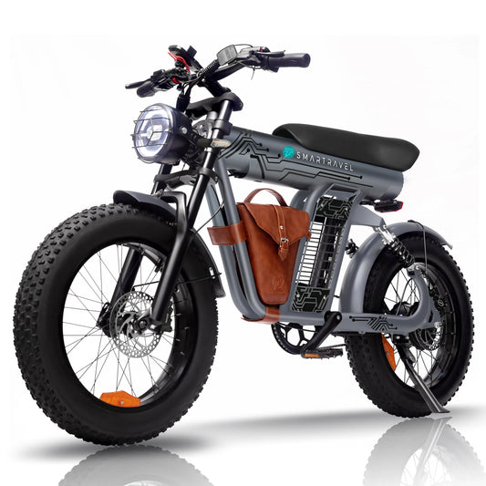 1200W adult electric bicycle