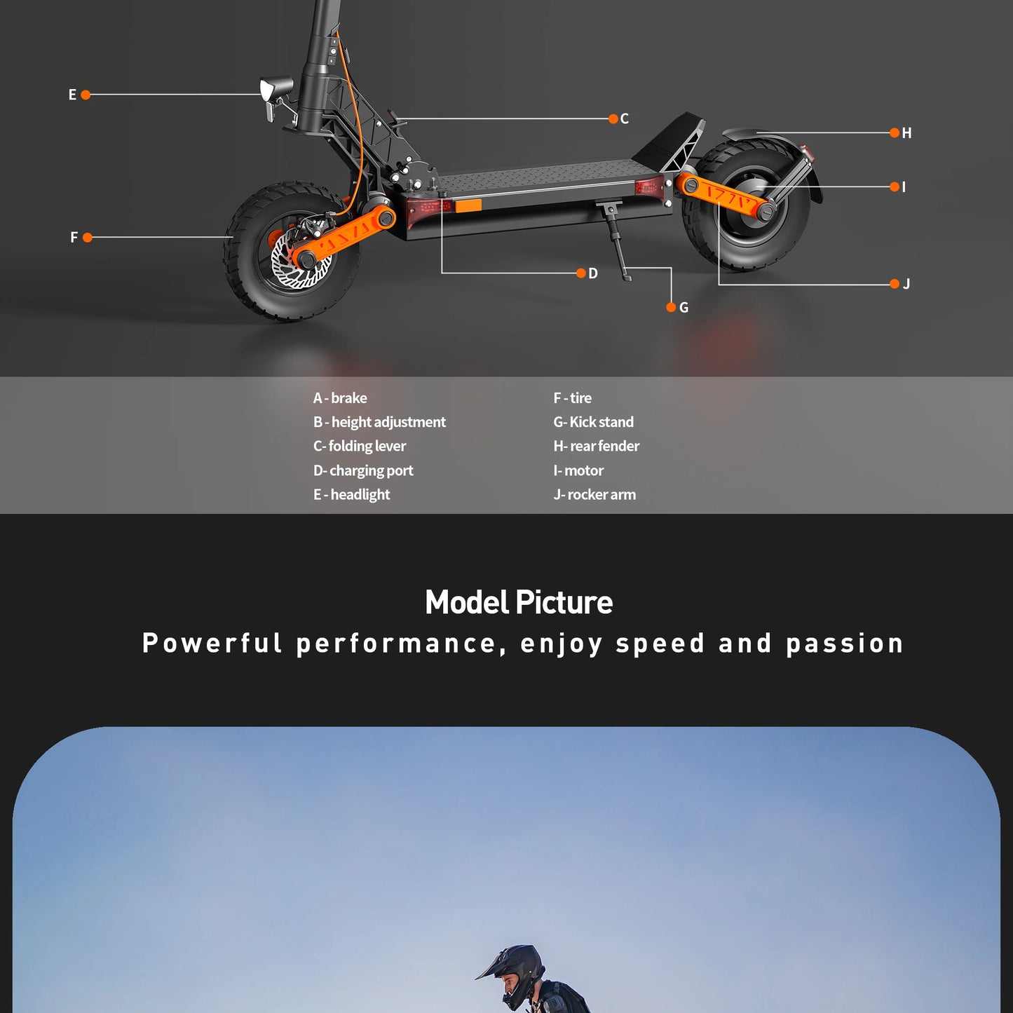 Electric Scooter 600W