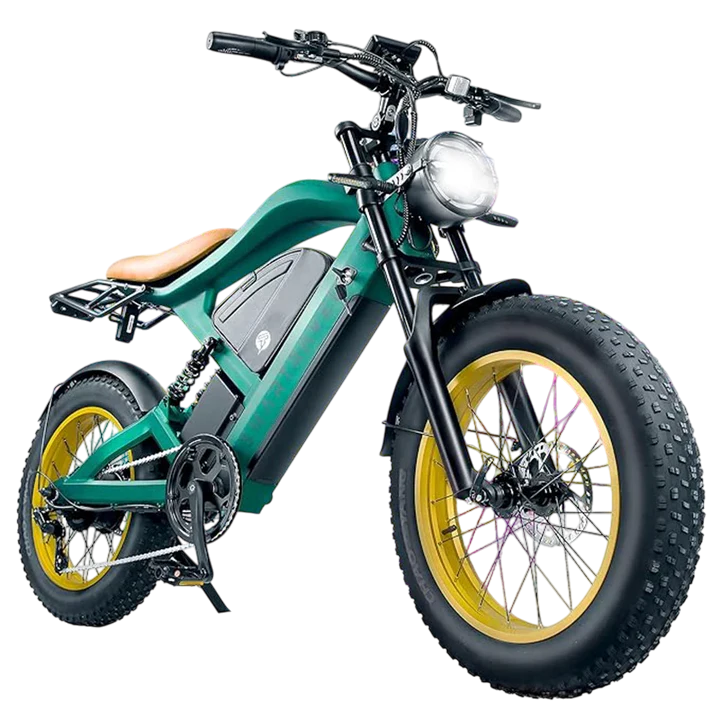 1200W  electric bicycle
