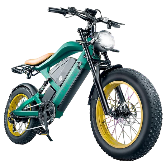 1200W  electric bicycle