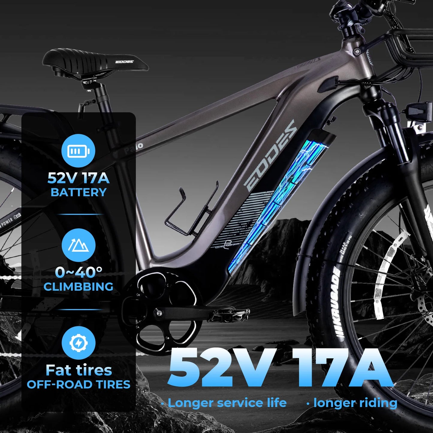 Adult electric bicycle 750W