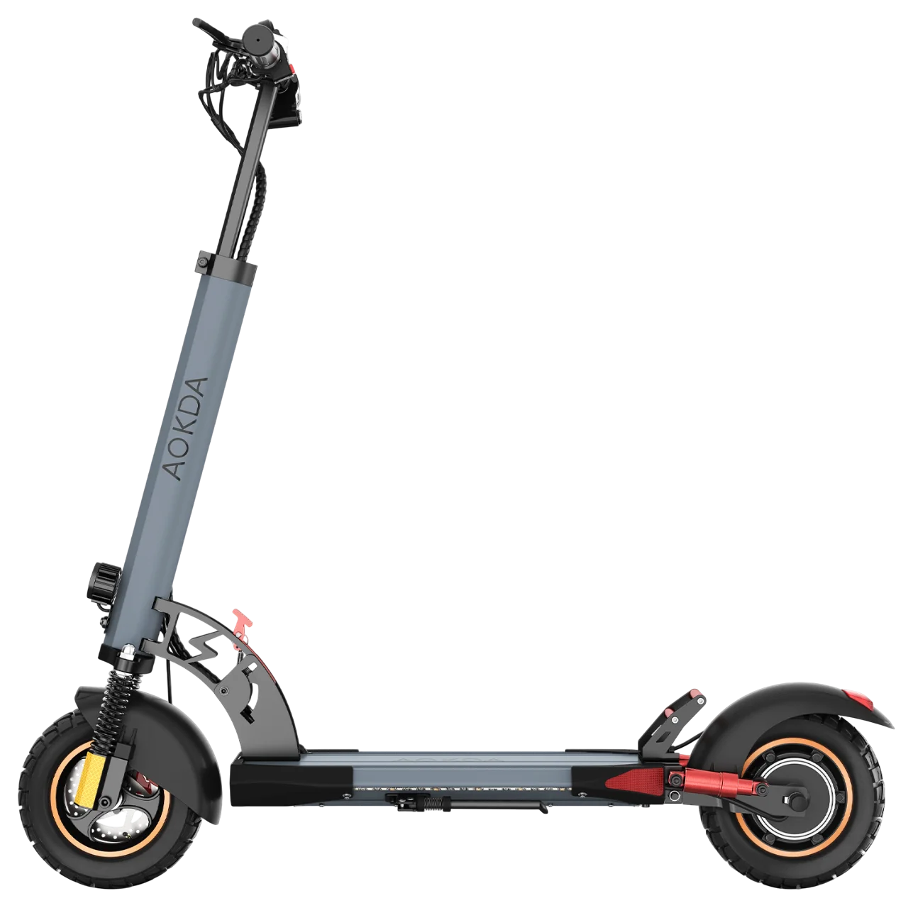 Scooters Electric 800W