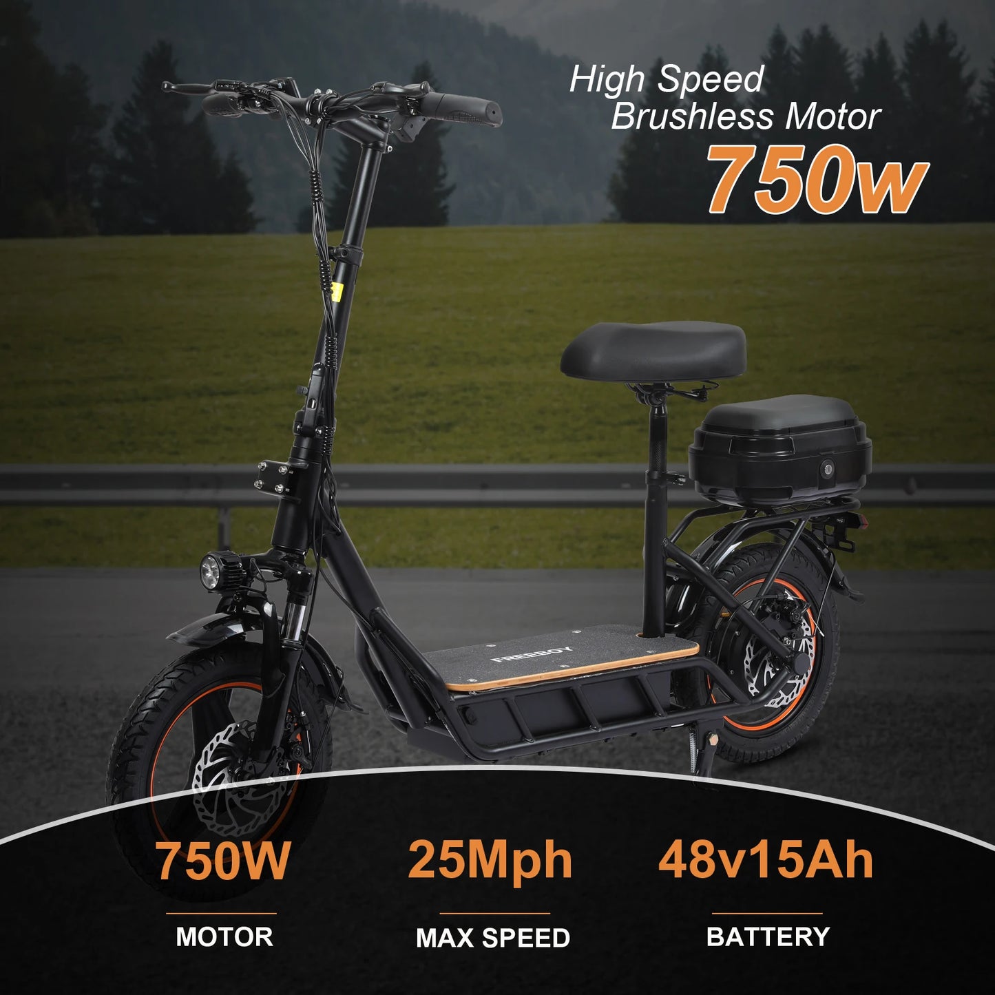 H14 Scooters Electric 750W