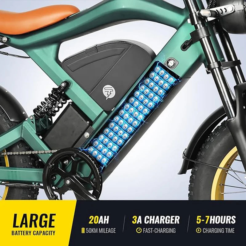 1200W  electric bicycle