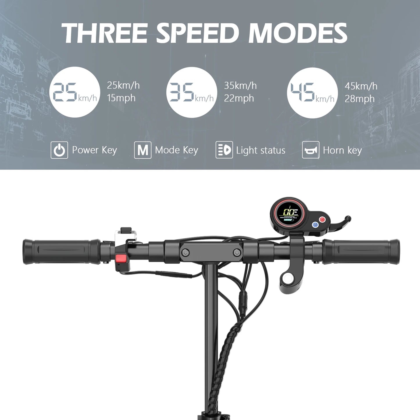 Scooters Electric 800W