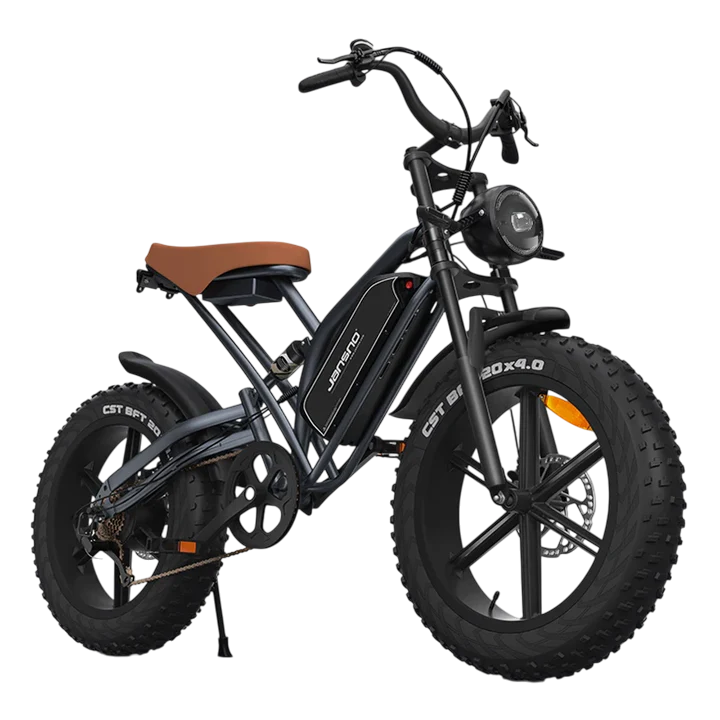 750W electric bicycle