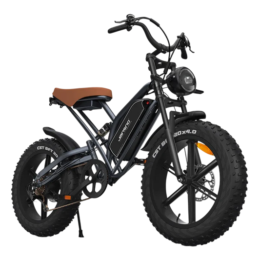 750W electric bicycle