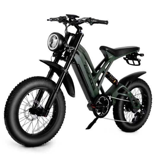 1000W mountain adult electric bicycle