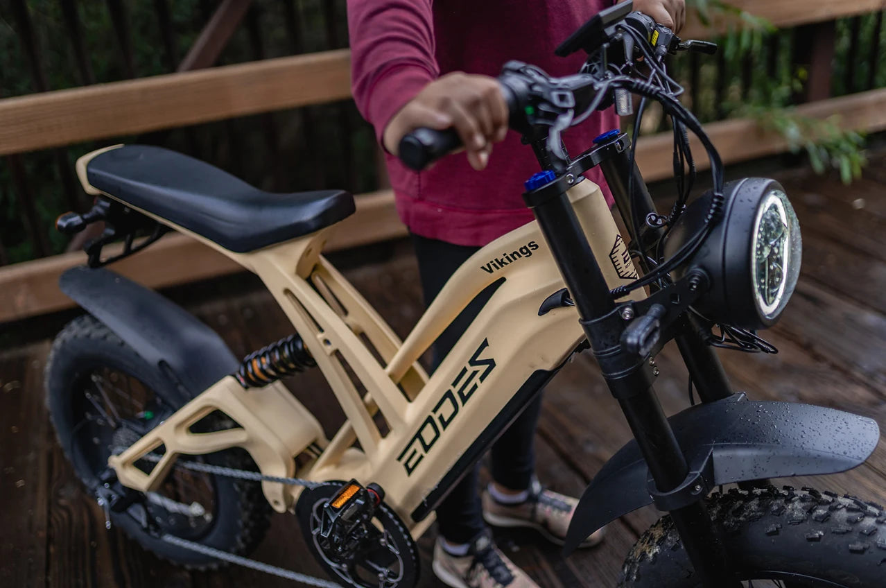 1000W mountain adult electric bicycle