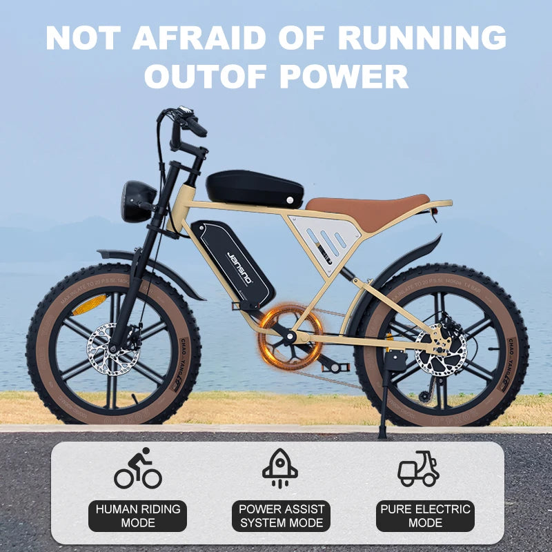 750W  Electric Bicycle