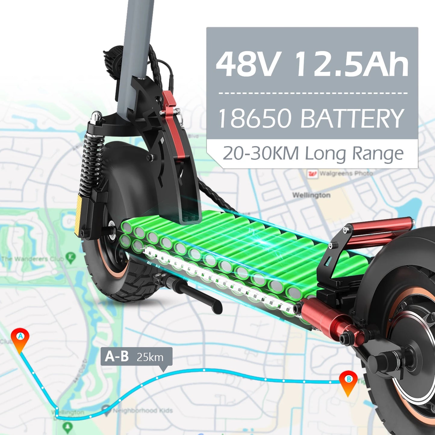 Scooters Electric 800W