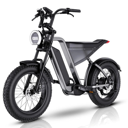 1000W adult electric bicycle